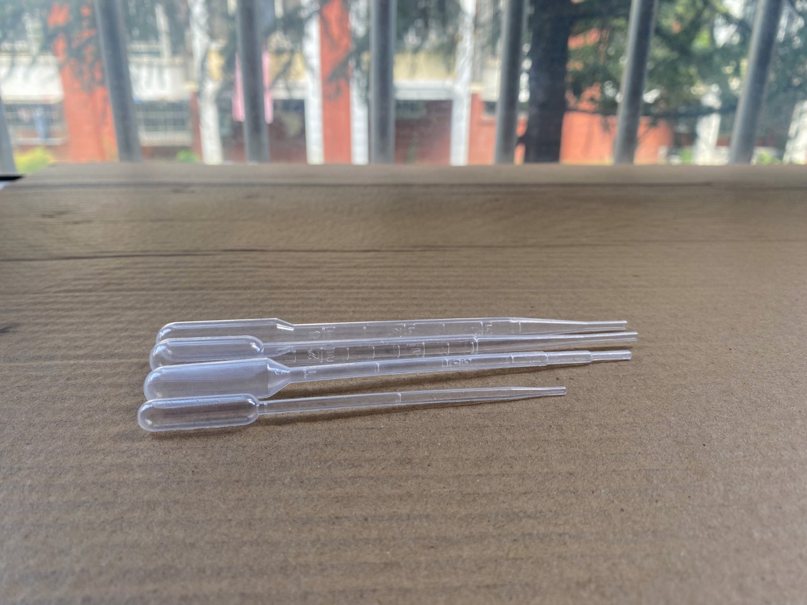 IMG_8828.jpg IMG_8828.jpg