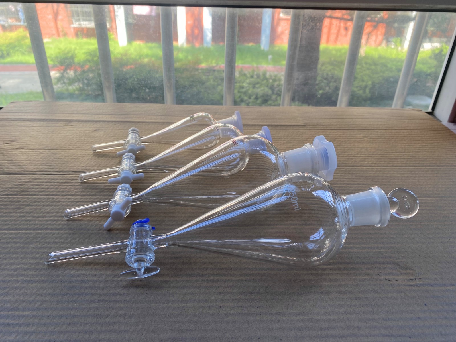 IMG_8845.jpg IMG_8845.jpg