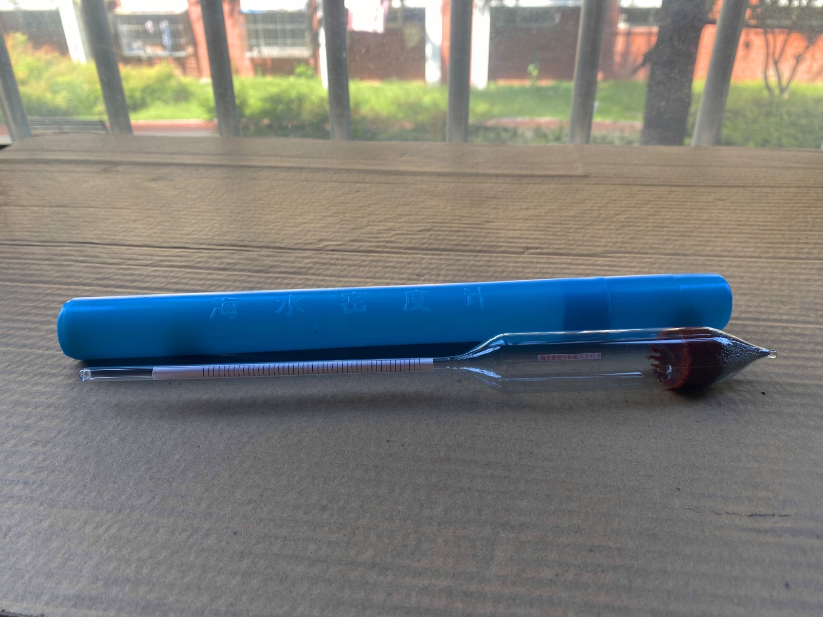 IMG_8866.jpg IMG_8866.jpg