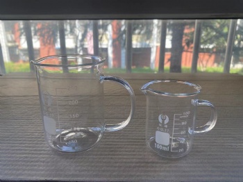 Glass Beaker with Handle