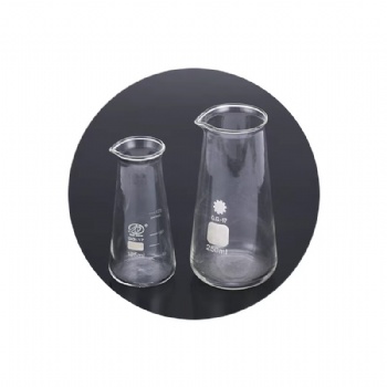 Glass Conical Beaker